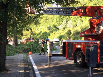Un árbol caído ha obligado este martes por la tarde a cerrar al tráfico la cuesta de Beloso, en sentido Pamplona, según ha informado la Policía Municipal. Al lugar han acudido tanto agentes de la Policía Municipal como efectivos de Bomberos. Han realizado labores de saneo para tratar de desocupar la vía lo antes posible. Las ramas caídas ocupaban los dos carriles en dirección a Pamplona.