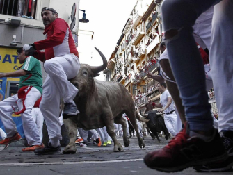 Imágenes del quinto encierro de los sanfermines, con toros de la ganadería Núñez del Cuvillo