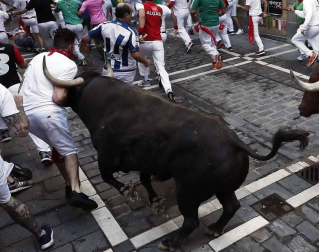 Imágenes del quinto encierro de los sanfermines, con toros de la ganadería Núñez del Cuvillo