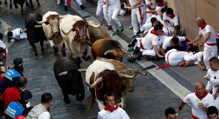 Imágenes del quinto encierro de los sanfermines, con toros de la ganadería Núñez del Cuvillo
