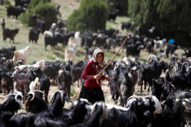 Las imágenes más llamativas de las últimas horas.
Foto 1: Cada año, las tribus nómadas viajan desde Mersin, situada en la costa del Mediterráneo, hasta la provincia de Konya, en Turquía. OSMAN ORSAL / REUTERS
Foto 2: Un niño atraviesa el agua acumulada tras las incesantes lluvias torrenciales de Bhaktapur, en Nepal.
NEVES CHITRAKAR / REUTERS
Foto 3: El panda chino, Ai Bao, recibe un pastel hecho de bambú y flores durante la celebración de su quinto cumpleaños, en el parque Samsung Everland, en Yongin (Corea del Sur). YONHAP / EFE
Foto 4: Presentación de Damon Albarn durante el concierto de Gorillaz, en el festival al aire libre de Gurten, en Berna (Suiza). El evento durará del 11 al 14 de julio. ANTHONY ANEX / EFE
Foto 5: Malala Yousazfai posa junto a uno de los grafitis de las artistas Yamin Ferreira e Ylo Borges en la favela Tavares Bastos, al sur de Río de Janeiro (Brasil). CEDIDA
Foto 6: Residuos domésticos utilizados para producir combustible en Kokeny, Hungría. Esta planta recicla al año 30.000 toneladas de material reciclable y 150.000 de residuos mixtos. TAMAS SOKI / EFE
Foto 7: Un participante detrás de una bandera LGTBIQ durante la manifestación del orgullo gay
celebrada en Chennai, India. P. RAVIKUMAR / REUTERS
Foto 8: Un hombre carga una granada casera frente a una barricada indígena de Monimbo, en Masaya (Nicaragua). OSWALDO RIBAS/EFE