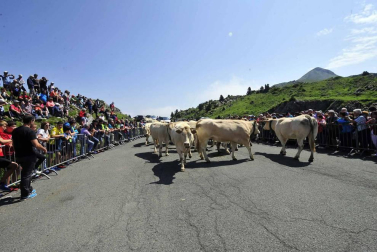 La Piedra de San Martín, frontera entre los valles de Roncal y Baretous (Francia), volvió a ser testigo de la firma del Tributo de las Tres Vacas, acto que sirve para renovar un año más la paz entre valles