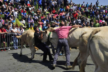La Piedra de San Martín, frontera entre los valles de Roncal y Baretous (Francia), volvió a ser testigo de la firma del Tributo de las Tres Vacas, acto que sirve para renovar un año más la paz entre valles