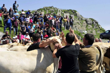 La Piedra de San Martín, frontera entre los valles de Roncal y Baretous (Francia), volvió a ser testigo de la firma del Tributo de las Tres Vacas, acto que sirve para renovar un año más la paz entre valles