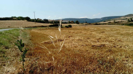 El verano, retratados por los lectores de Diario de Navarra