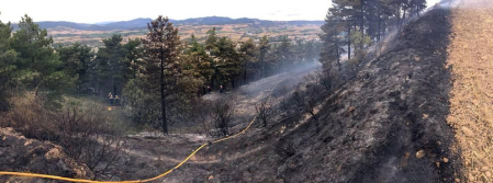 Las llamas afectaron a vegetación y algún olivo de la zona próxima a la ermita de Nuestra Señora de Arnotegui.