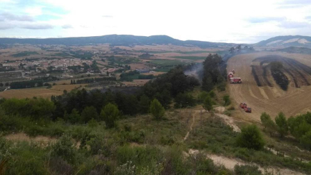 Las llamas afectaron a vegetación y algún olivo de la zona próxima a la ermita de Nuestra Señora de Arnotegui.