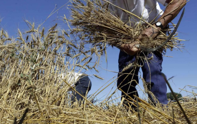 El Día del Mundo Rural en Miranda de Arga es una celebración que rinde homenaje a los oficios que hace medio siglo suponían la forma de vida de las gentes de la localidad.