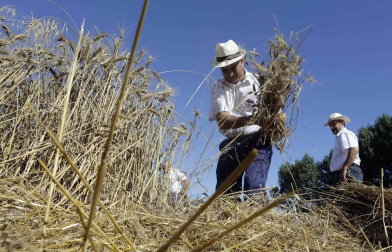 El Día del Mundo Rural en Miranda de Arga es una celebración que rinde homenaje a los oficios que hace medio siglo suponían la forma de vida de las gentes de la localidad.