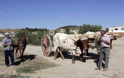 El Día del Mundo Rural en Miranda de Arga es una celebración que rinde homenaje a los oficios que hace medio siglo suponían la forma de vida de las gentes de la localidad.
