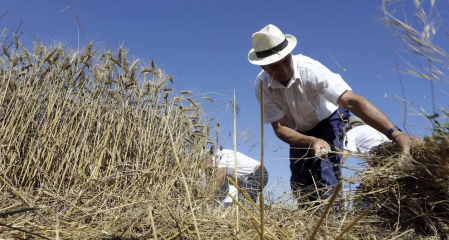 El Día del Mundo Rural en Miranda de Arga es una celebración que rinde homenaje a los oficios que hace medio siglo suponían la forma de vida de las gentes de la localidad.
