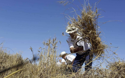 El Día del Mundo Rural en Miranda de Arga es una celebración que rinde homenaje a los oficios que hace medio siglo suponían la forma de vida de las gentes de la localidad.