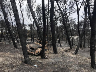 Decenas de muertos por varios incendios al noreste de Atenas