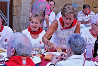 Todas las fotos del Día de las personas mayores de las fiestas de Puente la Reina 2018