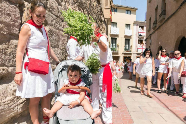 Procesión en honor a Santa Ana y segundo encierro en el tercer día de las fiestas de Tudela 2018 (26 de julio)