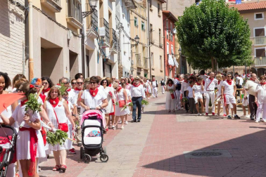 Procesión en honor a Santa Ana y segundo encierro en el tercer día de las fiestas de Tudela 2018 (26 de julio)