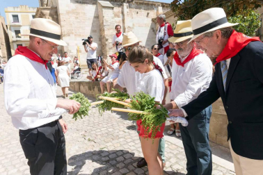 Procesión en honor a Santa Ana y segundo encierro en el tercer día de las fiestas de Tudela 2018 (26 de julio)