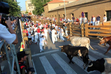 Procesión en honor a Santa Ana y segundo encierro en el tercer día de las fiestas de Tudela 2018 (26 de julio)