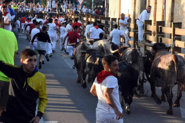 Procesión en honor a Santa Ana y segundo encierro en el tercer día de las fiestas de Tudela 2018 (26 de julio)
