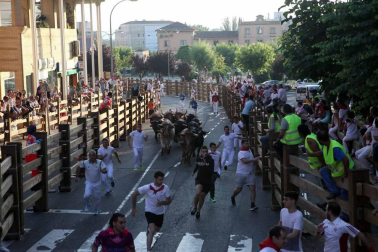 Procesión en honor a Santa Ana y segundo encierro en el tercer día de las fiestas de Tudela 2018 (26 de julio)