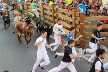Procesión en honor a Santa Ana y segundo encierro en el tercer día de las fiestas de Tudela 2018 (26 de julio)