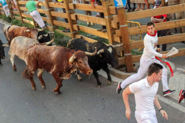 Procesión en honor a Santa Ana y segundo encierro en el tercer día de las fiestas de Tudela 2018 (26 de julio)