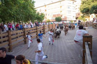 Procesión en honor a Santa Ana y segundo encierro en el tercer día de las fiestas de Tudela 2018 (26 de julio)