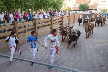 Procesión en honor a Santa Ana y segundo encierro en el tercer día de las fiestas de Tudela 2018 (26 de julio)