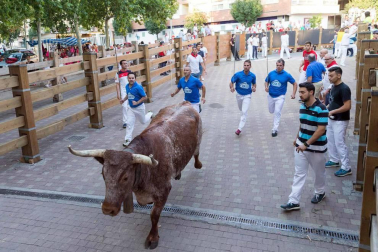 Procesión en honor a Santa Ana y segundo encierro en el tercer día de las fiestas de Tudela 2018 (26 de julio)