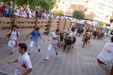 Procesión en honor a Santa Ana y segundo encierro en el tercer día de las fiestas de Tudela 2018 (26 de julio)