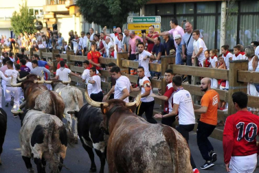Procesión en honor a Santa Ana y segundo encierro en el tercer día de las fiestas de Tudela 2018 (26 de julio)