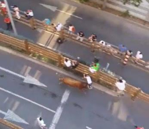 Vídeo de la cogida en el tercer encierro de Tudela 2018