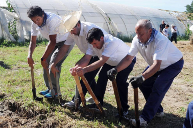 El 22 de julio las antiguas labores del campo volvieron a la vida durante la XIX Fiesta del mundo rural celebrada en Miranda de Arga. Vecinos y visitantes disfrutaron recordando o aprendiendo cómo se hacía la siega a mano o cómo se labraba con layas, además de ver en funcionamiento maquinaria antigua o trabajos con caballerías o bueyes.