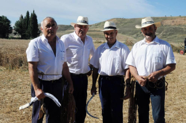 El 22 de julio las antiguas labores del campo volvieron a la vida durante la XIX Fiesta del mundo rural celebrada en Miranda de Arga. Vecinos y visitantes disfrutaron recordando o aprendiendo cómo se hacía la siega a mano o cómo se labraba con layas, además de ver en funcionamiento maquinaria antigua o trabajos con caballerías o bueyes.