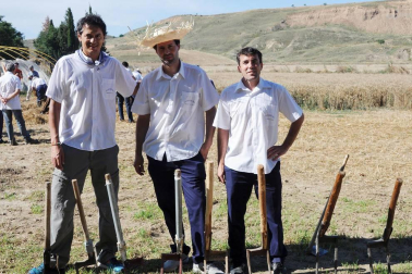El 22 de julio las antiguas labores del campo volvieron a la vida durante la XIX Fiesta del mundo rural celebrada en Miranda de Arga. Vecinos y visitantes disfrutaron recordando o aprendiendo cómo se hacía la siega a mano o cómo se labraba con layas, además de ver en funcionamiento maquinaria antigua o trabajos con caballerías o bueyes.