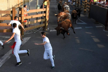 Fotos del encierro del cuarto día de las fiestas de Tudela, homenajes y pasacalles. 27 de julio de 2018