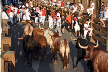 Fotos del encierro del cuarto día de las fiestas de Tudela, homenajes y pasacalles. 27 de julio de 2018
