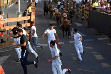 Fotos del encierro del cuarto día de las fiestas de Tudela, homenajes y pasacalles. 27 de julio de 2018