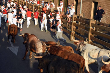 Fotos del encierro del cuarto día de las fiestas de Tudela, homenajes y pasacalles. 27 de julio de 2018