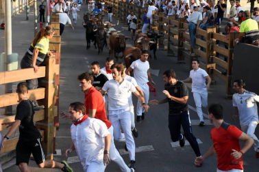 Fotos del encierro del cuarto día de las fiestas de Tudela, homenajes y pasacalles. 27 de julio de 2018