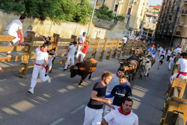 Fotos del encierro del cuarto día de las fiestas de Tudela, homenajes y pasacalles. 27 de julio de 2018