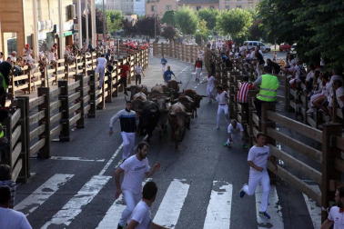 Fotos del encierro del cuarto día de las fiestas de Tudela, homenajes y pasacalles. 27 de julio de 2018