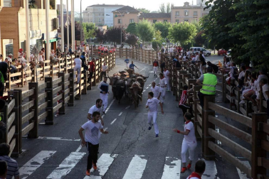 Fotos del encierro del cuarto día de las fiestas de Tudela, homenajes y pasacalles. 27 de julio de 2018