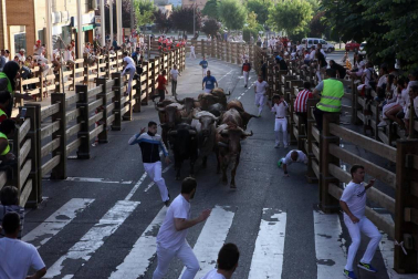 Fotos del encierro del cuarto día de las fiestas de Tudela, homenajes y pasacalles. 27 de julio de 2018