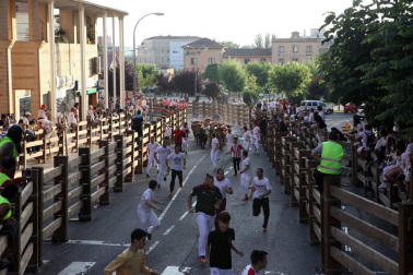 Fotos del encierro del cuarto día de las fiestas de Tudela, homenajes y pasacalles. 27 de julio de 2018