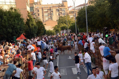 Fotos del encierro del cuarto día de las fiestas de Tudela, homenajes y pasacalles. 27 de julio de 2018