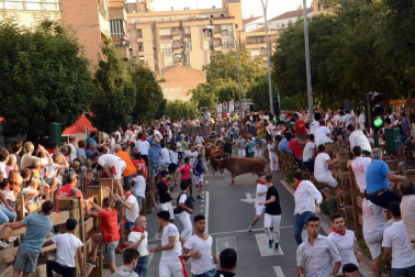 Fotos del encierro del cuarto día de las fiestas de Tudela, homenajes y pasacalles. 27 de julio de 2018