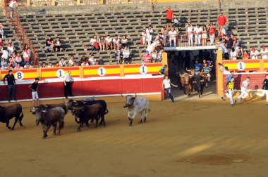 Fotos del encierro del cuarto día de las fiestas de Tudela, homenajes y pasacalles. 27 de julio de 2018