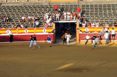 Fotos del encierro del cuarto día de las fiestas de Tudela, homenajes y pasacalles. 27 de julio de 2018
