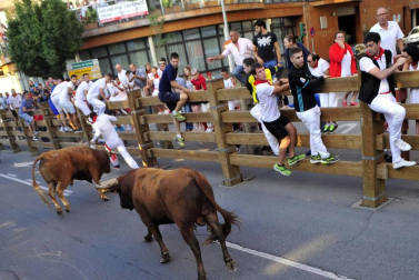 Fotos del encierro del cuarto día de las fiestas de Tudela, homenajes y pasacalles. 27 de julio de 2018